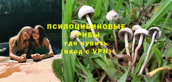 spice Арсеньев