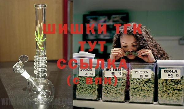 spice Арсеньев
