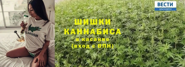 ГАЛЛЮЦИНОГЕННЫЕ ГРИБЫ Аркадак