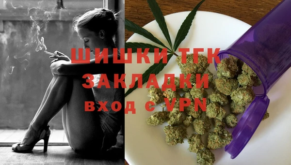 spice Арсеньев
